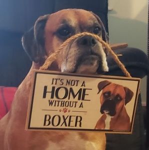 Meet your Posher, Donna